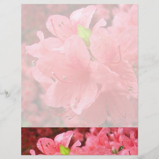 Azalea Field - Letterhead (Voorkant)