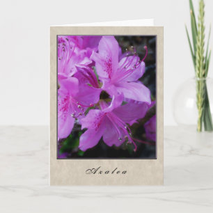 Azalea - Floral reeks Kaart