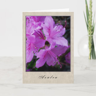 Azalea - Floral reeks Kaart