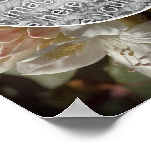 Azalea Flower Blossoms Tint Creëer Uw eigen foto Poster (Hoek)
