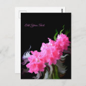 Azalea Flowers Briefkaart (Voorkant / Achterkant)