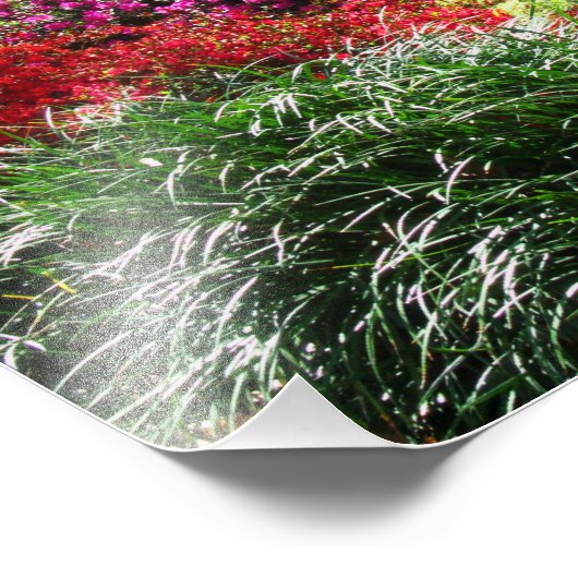 Azalea Gardens Foto Afdruk (Hoek)