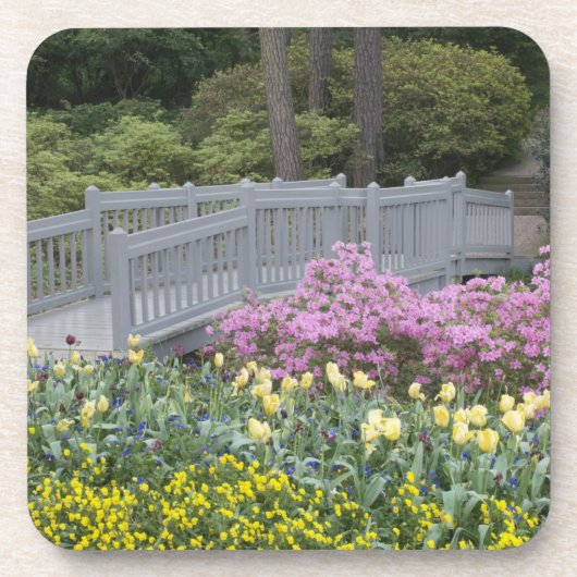 Azalea Heath Family (Ericaceae), Tulip, en Drankjes Onderzetter (Voorkant)