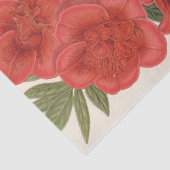 Azalea (Indica) Francois Devos van Charles Lemaire Tissuepapier (Detail)