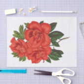 Azalea (indica) Grand Duchess, ontkoppeling Tissuepapier (Craft)