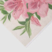 Azalea Indica (Hybrida) Gigantiflora van Lemaire Tissuepapier (Detail)