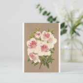 Azalea (indica) Reine des Pays-Bas by Lemaire Briefkaart (Staand voorkant)