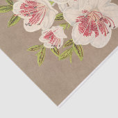 Azalea (indica) Reine des Pays-Bas by Lemaire Tissuepapier (Detail)