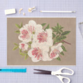 Azalea (indica) Reine des Pays-Bas by Lemaire Tissuepapier (Craft)