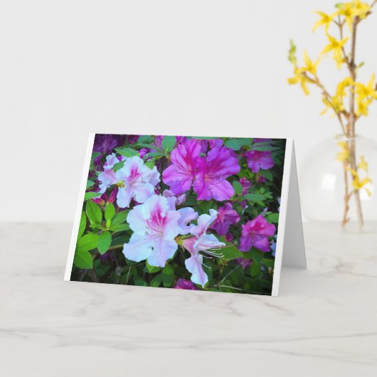 Azalea, Kaart (Gele Bloem)