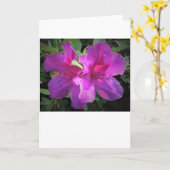Azalea, kaart (Gele Bloem)