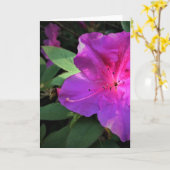 Azalea, kaart (Gele Bloem)