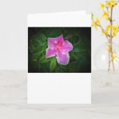 Azalea, kaart (Gele Bloem)