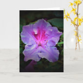 Azalea, kaart (Gele Bloem)