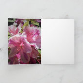 Azalea, kaart (Binnen)
