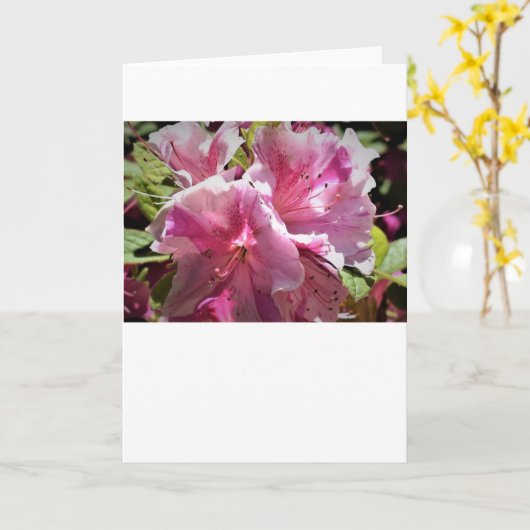 Azalea, kaart (Gele Bloem)