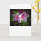 Azalea, kaart (Gele Bloem)