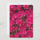 Azalea Kaart (Achterkant)