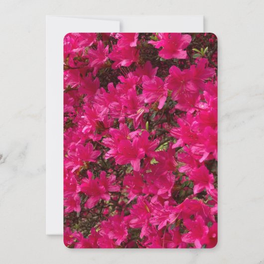 Azalea Kaart (Achterkant)