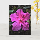 Azalea, kaart (Gele Bloem)