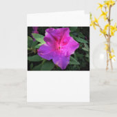 Azalea, kaart (Gele Bloem)