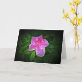 Azalea, kaart (Gele Bloem)