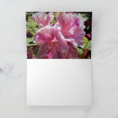 Azalea, kaart (Binnen)