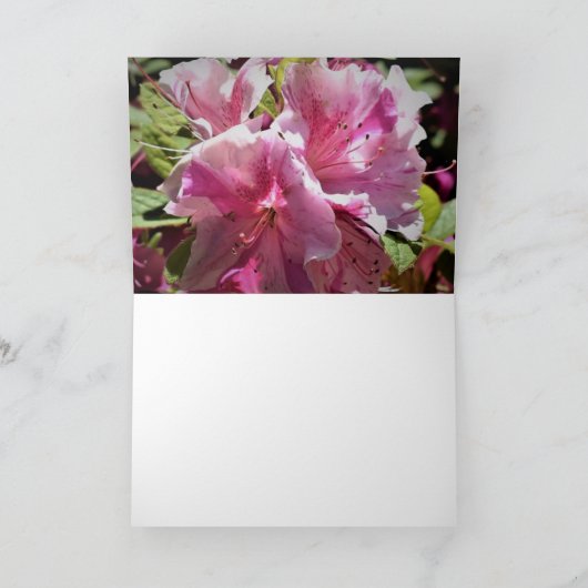 Azalea, kaart (Binnen)