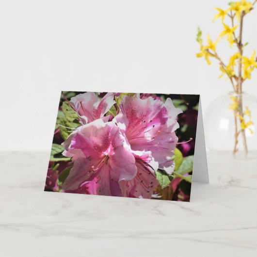 Azalea, kaart (Gele Bloem)