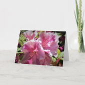 Azalea, kaart (Voorkant)