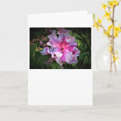 Azalea, kaart (Gele Bloem)