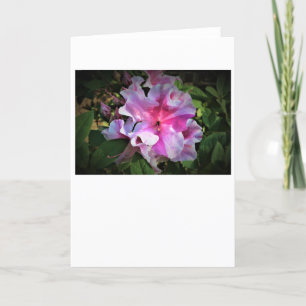 Azalea, kaart