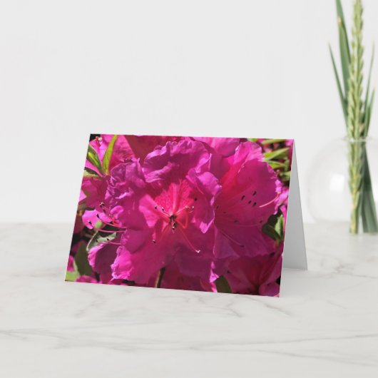 Azalea, kaart (Voorkant)