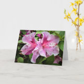 Azalea, kaart (Gele Bloem)