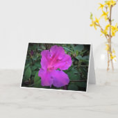 Azalea, kaart (Gele Bloem)