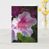 Azalea, kaart (Gele Bloem)