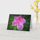 Azalea, kaart (Gele Bloem)