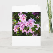 Azalea, Kaart (Voorkant)