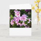Azalea, Kaart (Gele Bloem)