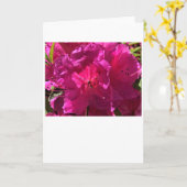 Azalea, kaart (Gele Bloem)