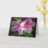 Azalea, kaart (Gele Bloem)