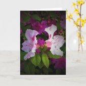 Azalea, kaart (Gele Bloem)