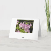 Azalea Middag Kaart (Achterkant)