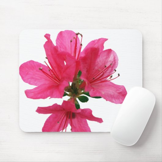 Azalea Muismat (Met muis)