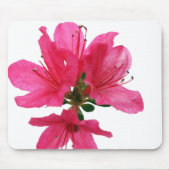 Azalea Muismat (Voorkant)