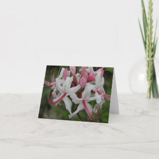 Azalea Note Kaart