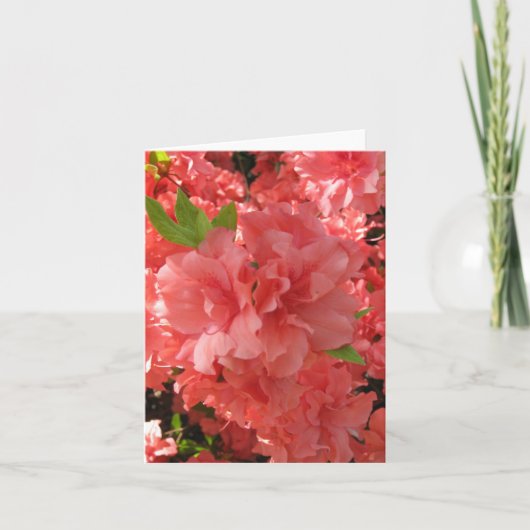 Azalea Notecard Kaart (Voorkant)