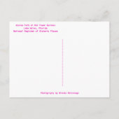 Azalea Path Bok Tower Gardens Lake Wales Briefkaart (Achterkant)