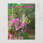 Azalea Path Bok Tower Gardens Lake Wales Briefkaart (Voorkant)