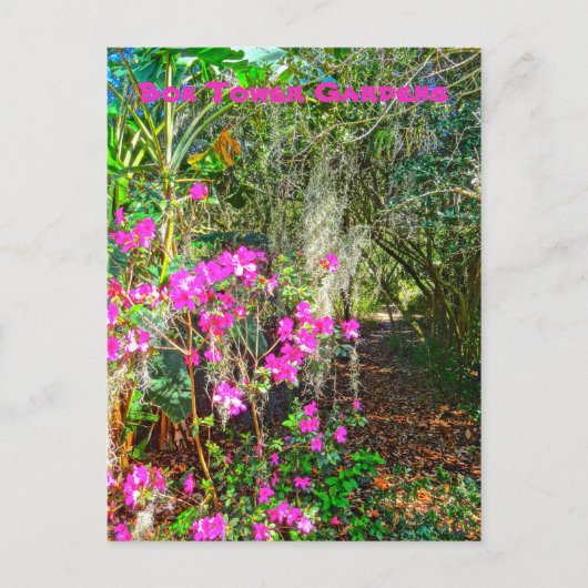 Azalea Path Bok Tower Gardens Lake Wales Briefkaart (Voorkant)